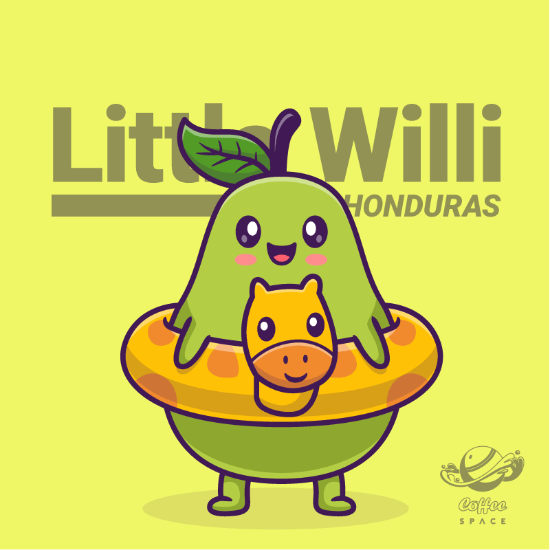 Coffee Space Kaffeebohnen Little Willi - Medium light Roast, Williams, Lemon, Toffee, 200g