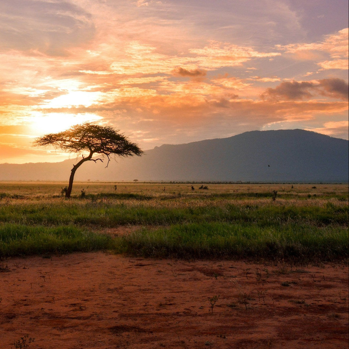 Kenia Landschaft