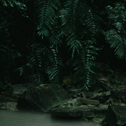 Mexiko Extra Dark Landschaft