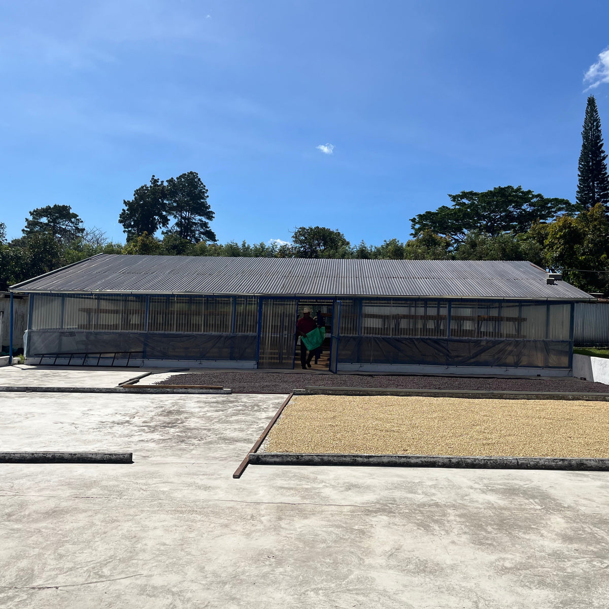 Die Finca der Kaffeebauern Monte de Oro