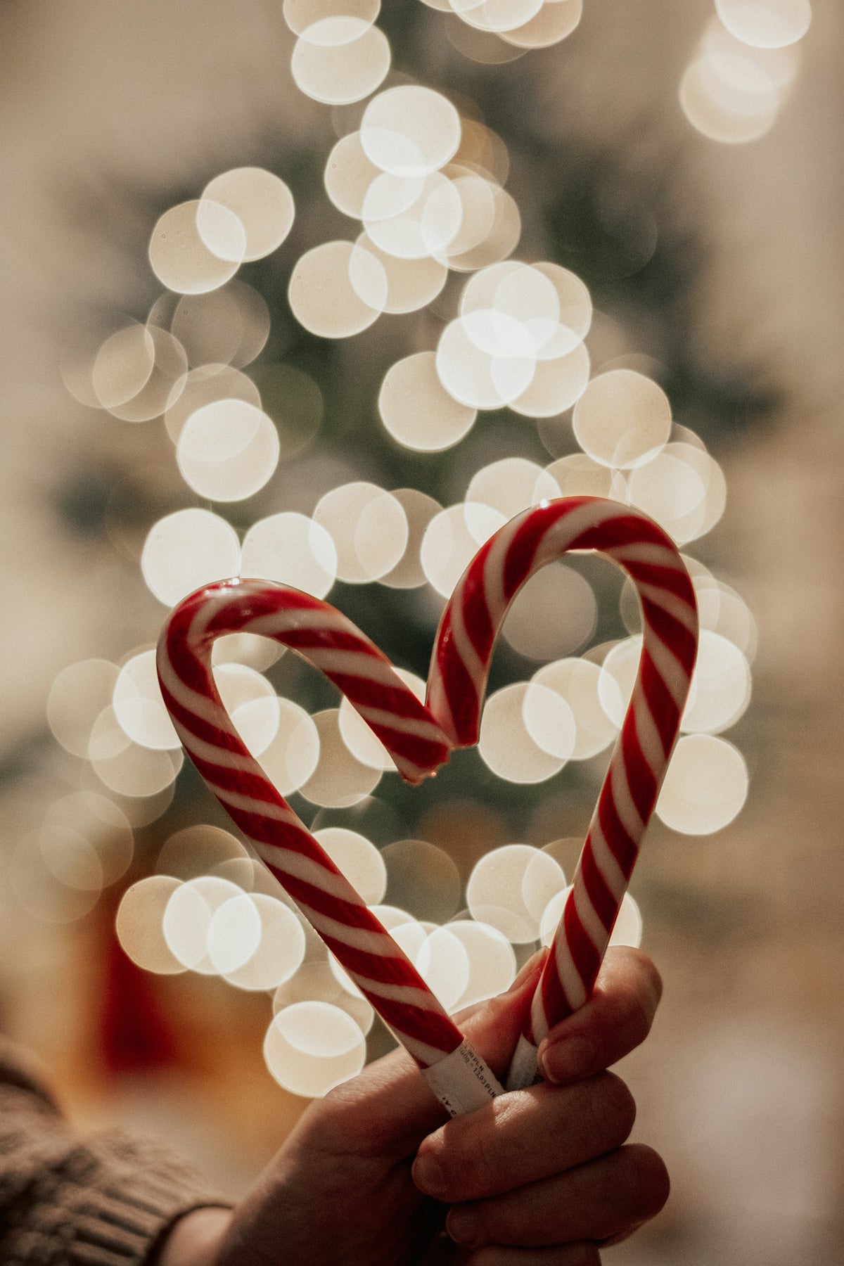 Zuckerstangen formen Herz vor beleuchtetem Weihnachtsbaum