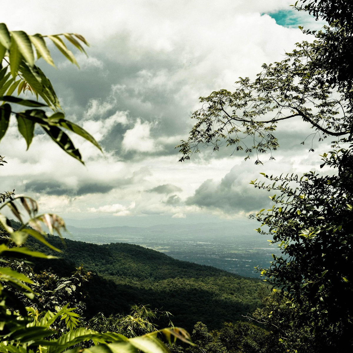THAILAND Landschaft mit Bäumen und Himmel über Bergen