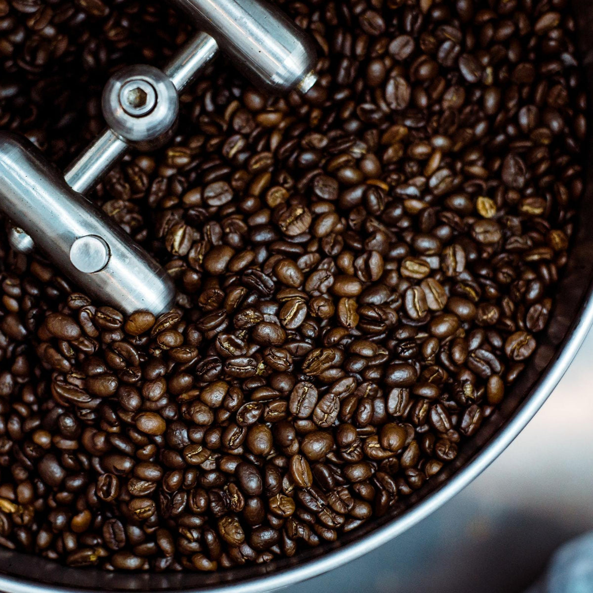 Geröstete Kaffeebohnen im Trommelröster